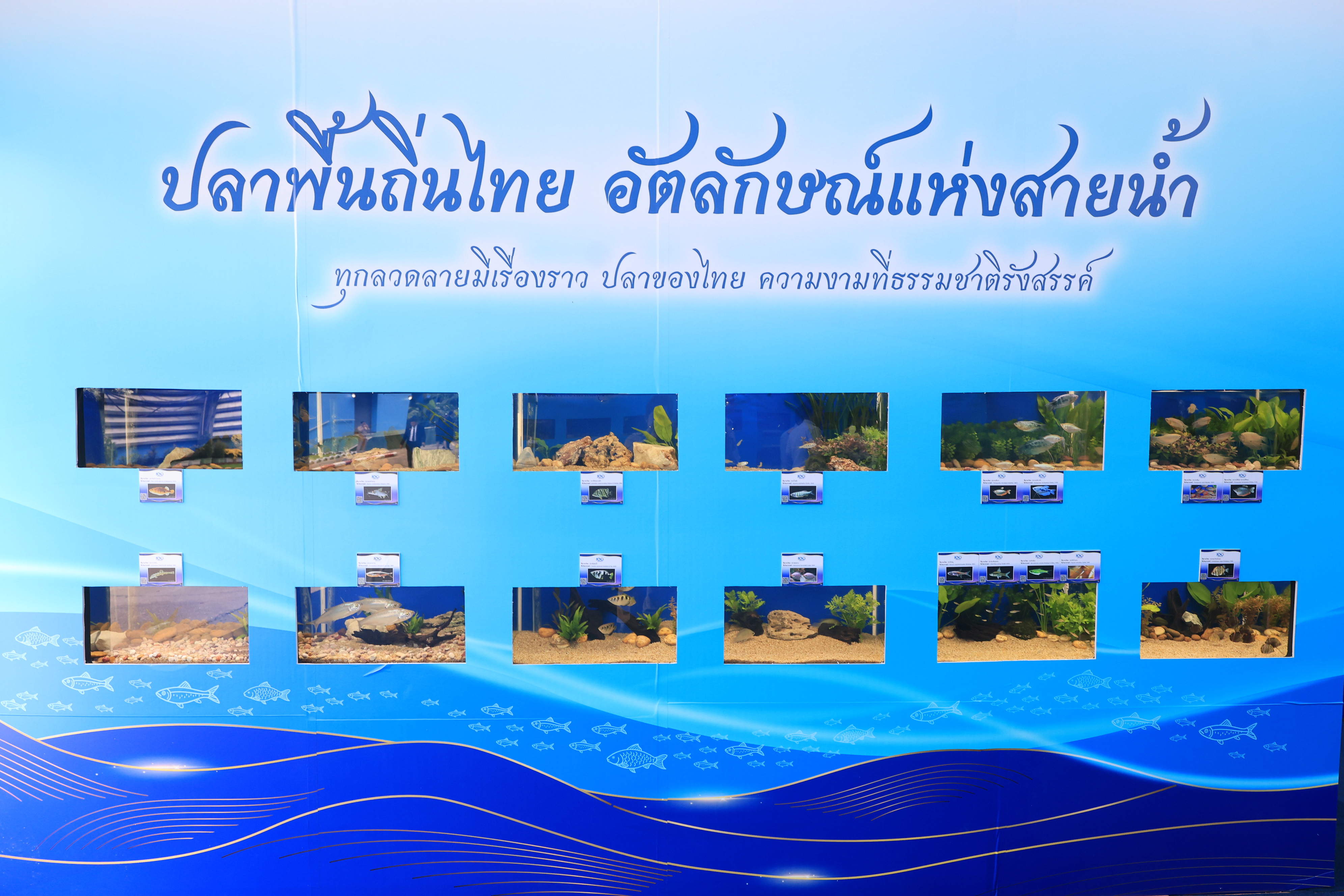 title - สำนักงานการปฏิรูปที่ดินเพื่อเกษตรกรรม ร่วมเฝ้าฯ รับเสด็จ สมเด็จพระกนิษฐาธิราชเจ้า กรมสมเด็จพระเทพรัตนราชสุดาฯ สยามบรมราชกุมารี เสด็จเป็นองค์ประธานเปิดงาน “วันสถาปนากรมประมง ครบรอบ 100 ปี”